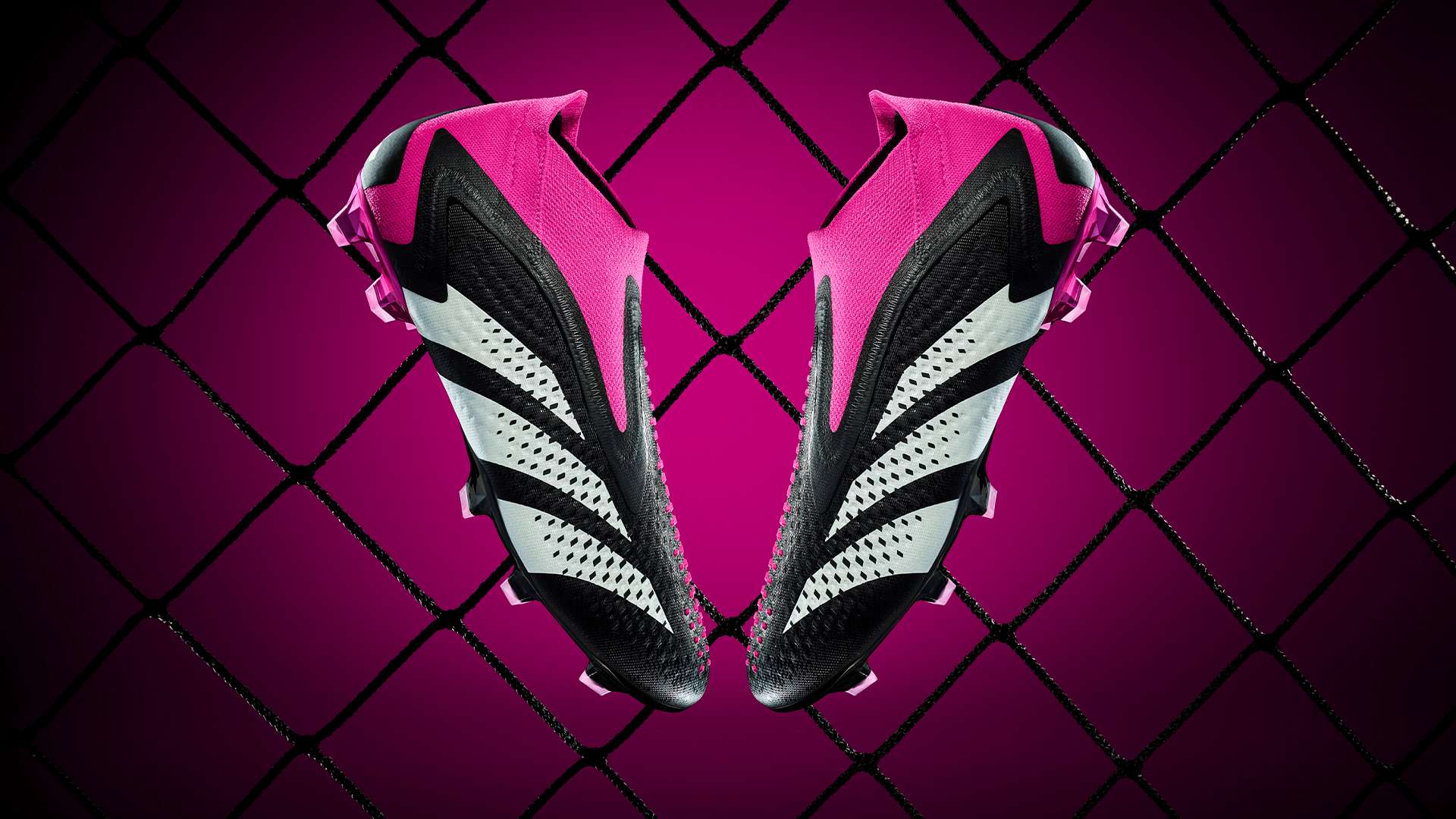 来的足球明 来的足球明